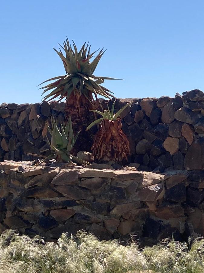 3 Aloes Guesthouse Uis Dış mekan fotoğraf