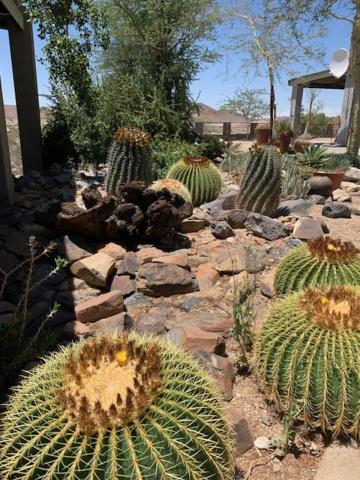 3 Aloes Guesthouse Uis Dış mekan fotoğraf